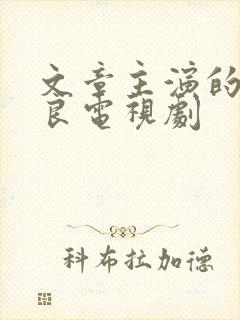 文章主演的张学良电视剧
