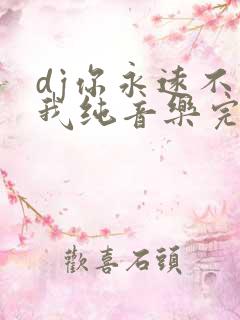 dj你永远不懂我纯音乐完整版