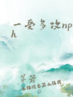 一受多攻np高h