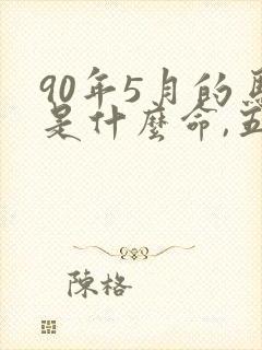 90年5月的马是什么命,五行属性