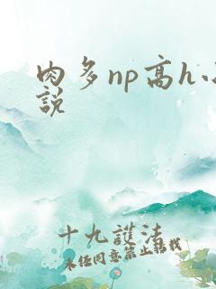 肉多np高h小说