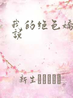 我的绝色娇妻小说