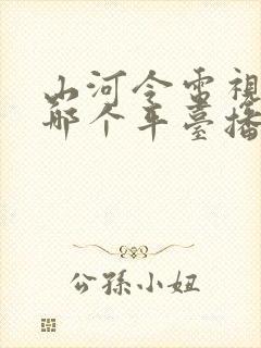山河令电视剧在哪个平台播出