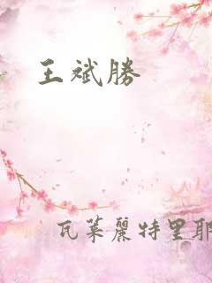 王斌胜