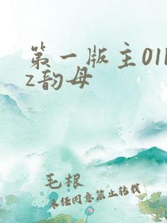 第一版主01bz韵母