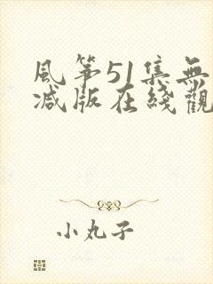 风筝51集无删减版在线观看