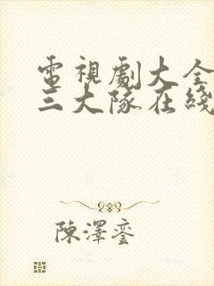 电视剧大全免费三大队在线观看