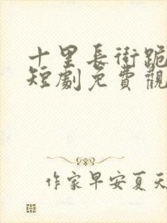 十里长街跪月光短剧免费观看全集