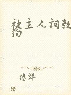 被主人调教成母狗