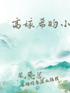 高嫁希昀小说