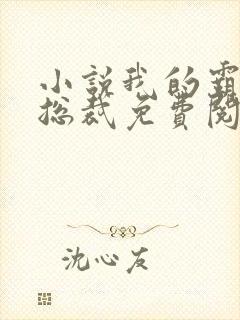 小说我的霸道女总裁免费阅读