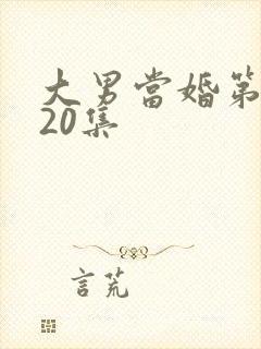 大男当婚第二部20集