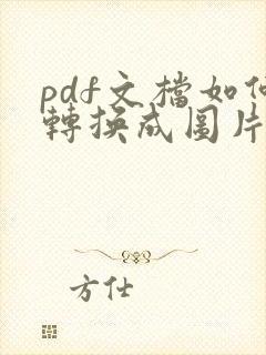 pdf文档如何转换成图片格式