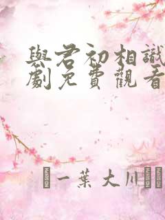 与君初相识电视剧免费观看全集西瓜