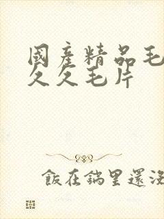 国产精品毛片久久久毛片
