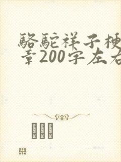 骆驼祥子梗概每章200字左右