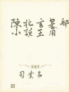 陈北玄是哪一部小说主角