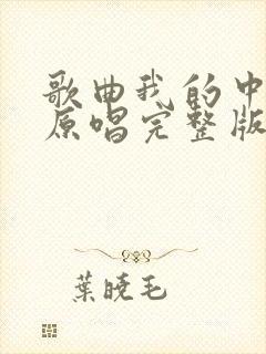 歌曲我的中国心原唱完整版