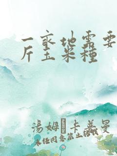 一亩地需要多少斤玉米种