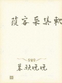 获客采集软件