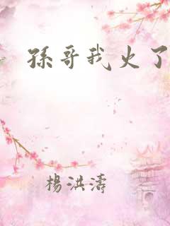 孙哥我火了