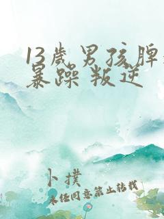 13岁男孩脾气暴躁 叛逆