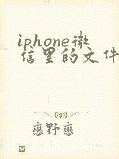 iphone微信里的文件怎么保存到本地