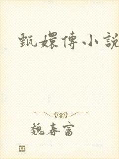 甄嬛传小说