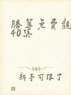 胜算免费观看第40集