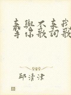 来与不来我都在等你歌词歌曲
