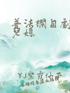 普法栏目剧我的儿媳