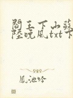 阎王下山苏文,陆晚风txt下载