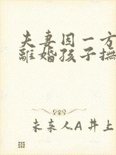 夫妻因一方出轨离婚孩子抚养权怎么判定