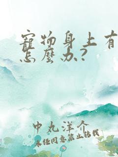 宠物身上有蜱虫怎么办?