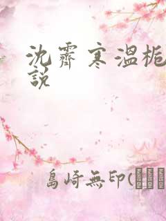 沈霁寒温栀妍小说