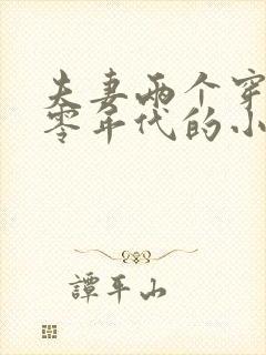 夫妻两个穿回七零年代的小说
