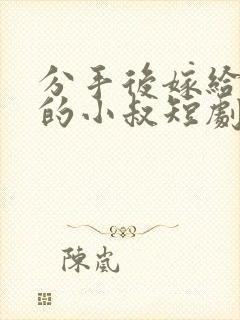 分手后嫁给渣男的小叔短剧视频