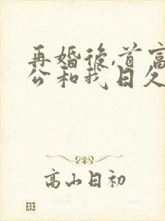 再婚后,首富老公和我日久生情
