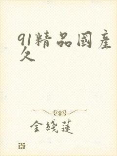 91精品国产久久
