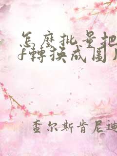 怎么批量把pdf转换成图片格式