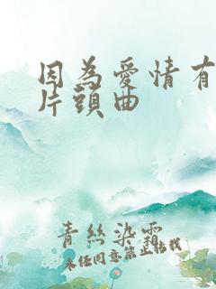 因为爱情有晴天片头曲