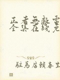正者无敌电视剧全集在线免费观看