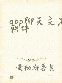 app聊天交友软件