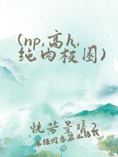 (np,高h,纯肉校园)
