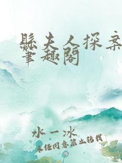 县夫人探案手札笔趣阁