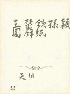 王楚钦孙颖莎神图壁纸