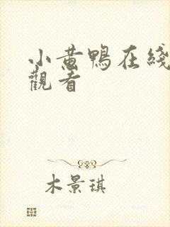 小黄鸭在线视频观看