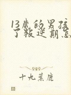13岁的男孩到了叛逆期怎麽教