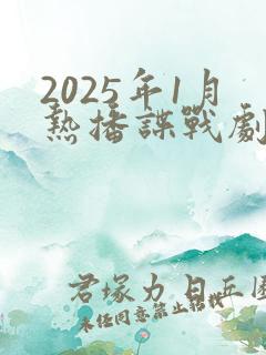 2025年1月热播谍战剧