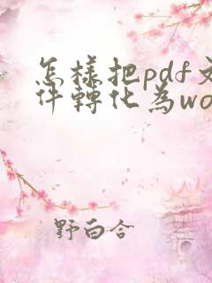 怎样把pdf文件转化为word